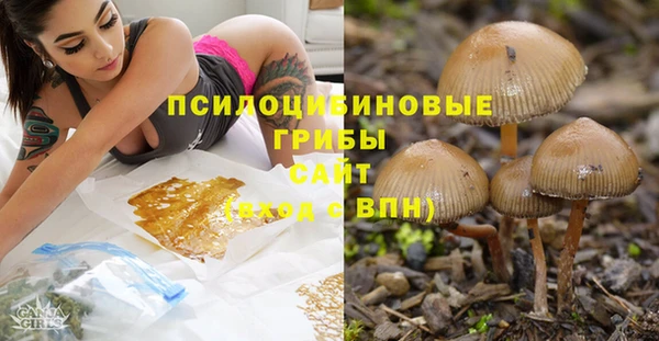альфа пвп Инсар